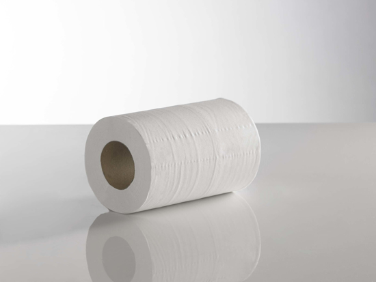 Picture of White Mini Centre Feed Roll (2ply, Pack of 12)