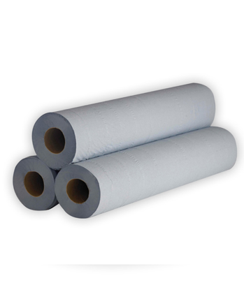 Picture of Blue Hygiene Roll (2ply, Pack of 24)