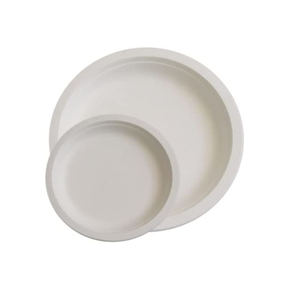 Picture of White Disposable Paper Plates